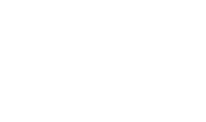 Logo-Nim